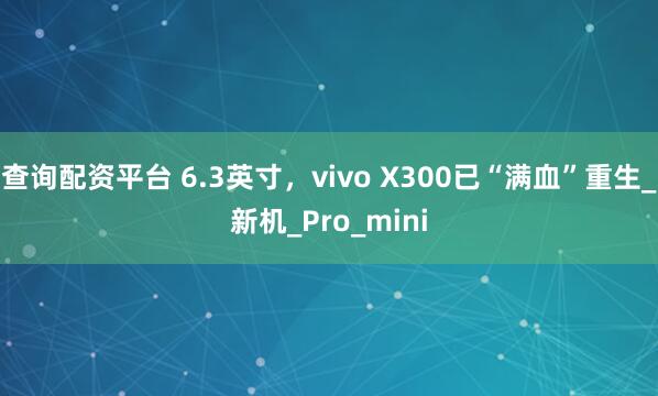 查询配资平台 6.3英寸，vivo X300已“满血”重生_新机_Pro_mini