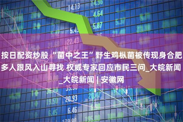 按日配资炒股 “菌中之王”野生鸡枞菌被传现身合肥大蜀山  多人跟风入山寻找 权威专家回应市民三问_大皖新闻 | 安徽网