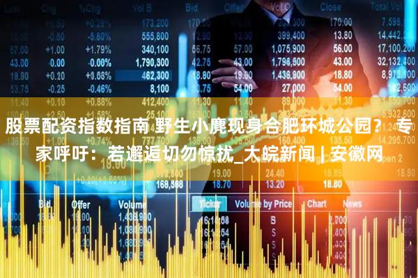 股票配资指数指南 野生小麂现身合肥环城公园？ 专家呼吁：若邂逅切勿惊扰_大皖新闻 | 安徽网
