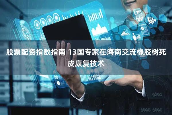 股票配资指数指南 13国专家在海南交流橡胶树死皮康复技术